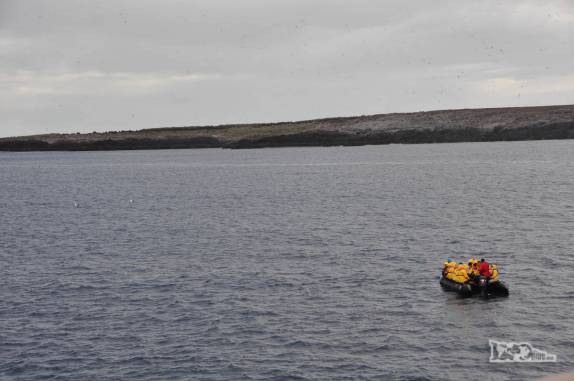 O primeiro grupo a seguir para Steeple Jason, no noroeste das Ilhas Malvinas
